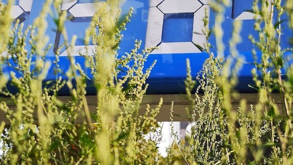 Produktion von Benzin und Diesel im 1. Halbjahr 2026 gestiegen
