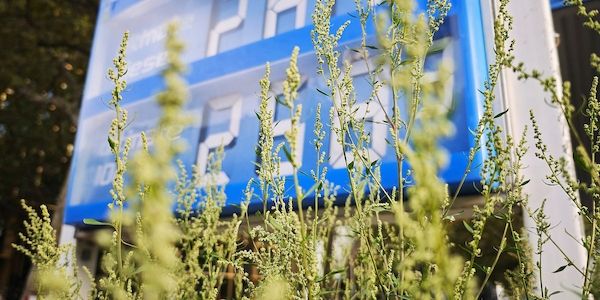 Reichinnek kritisiert Wiedereinführung des Tankrabatts