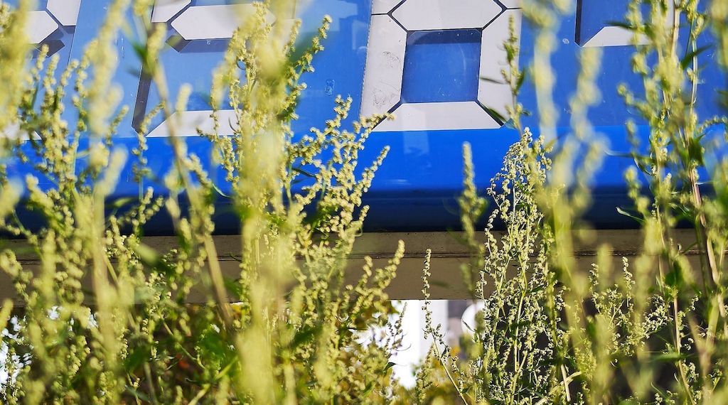 Schweitzer fordert Entlastung beim Tanken über Jahresende hinaus
