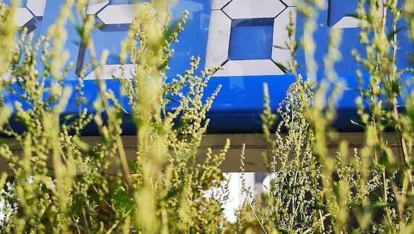 Schweitzer fordert Entlastung beim Tanken über Jahresende hinaus