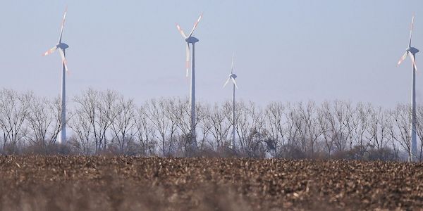 Studie: Gedeckelte Windkraft-Pachten könnten um Milliarden entlasten