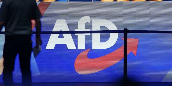 Trittin fordert Verbot von AfD-Landesverbänden