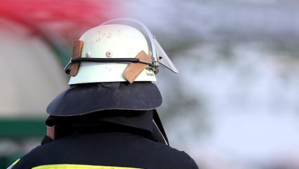 Feuerwehr München rettet Fuchs aus der Isar und Eichhörnchen aus Vogelschutznetz