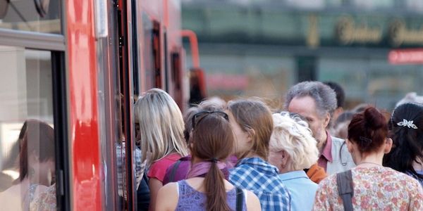 Anzahl der Fahrgäste im Nahverkehr mit Bahnen und Bussen gestiegen