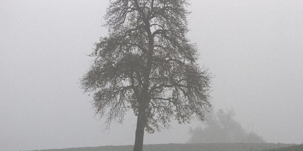 Wetterbericht für Bayern (16.10.2026)