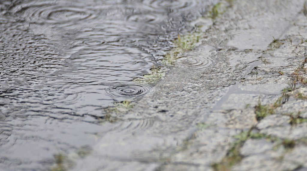 Wetterbericht für Niedersachsen/Bremen (18.10.2026)