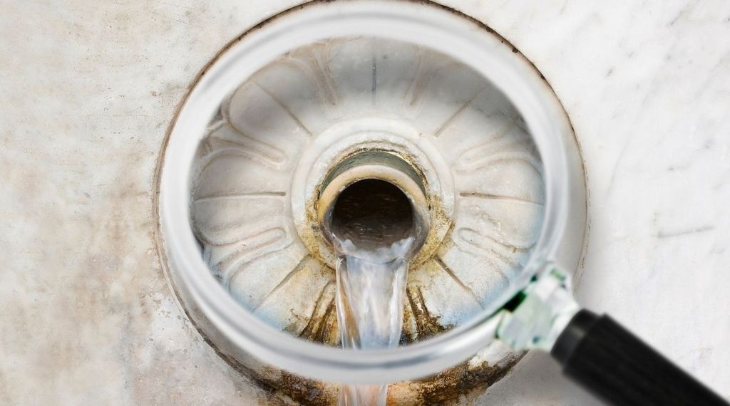 Trinkwasser und Legionellen-Prüfung: So lassen sich unerwartete Kosten vermeiden