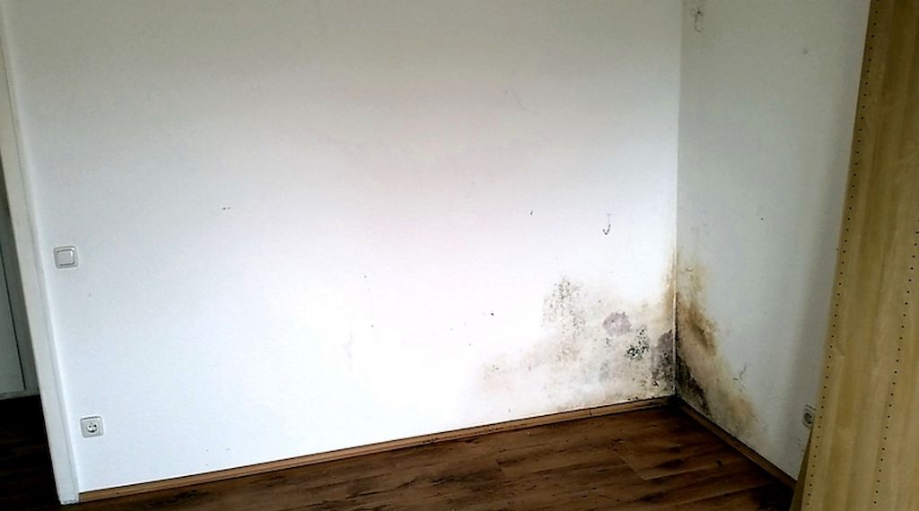 Experte Ingo Büser warnt: Wie das Homeoffice zur Schimmelfalle werden kann