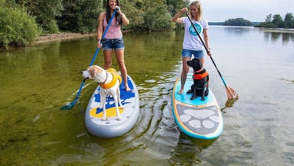 Das sind die Hundefreundlichsten Campingplätze in Deutschland