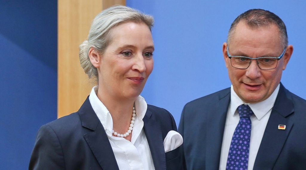 AfD bleibt in Allensbach-Umfrage klar stärkste Kraft
