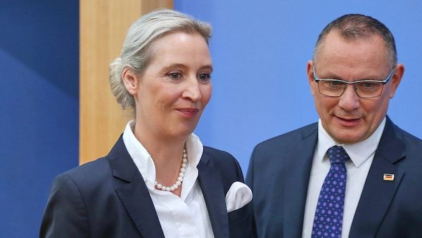 AfD bleibt in Allensbach-Umfrage klar stärkste Kraft