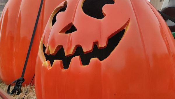 Speisekürbisernte in Nordrhein-Westfalen geht um 22,4 Prozent zurück